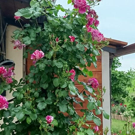 Апартаменты Colle Perazzoni Фиано-Романо Экстерьер фото